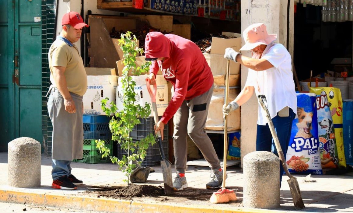 Con buena participación se realizó la campaña 1000 árboles en Chiautempan