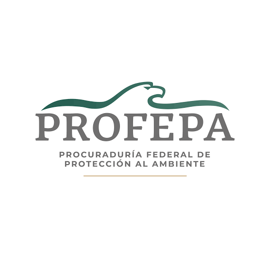  Encontró PROFEPA contenedores con residuos químicos ilegal en Xalostoc