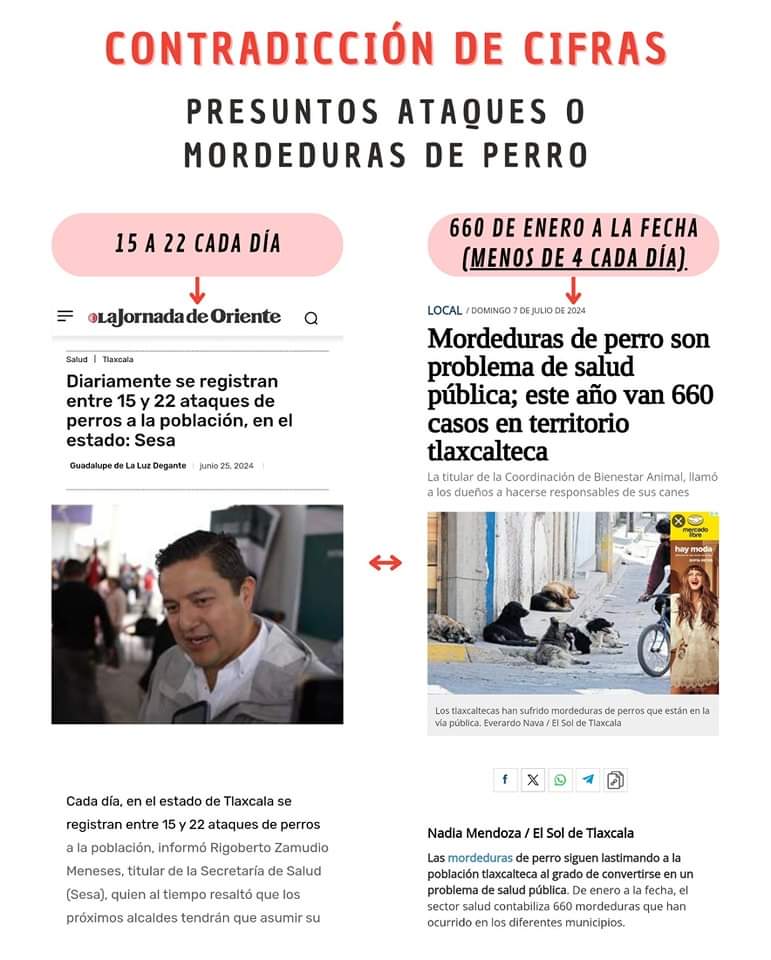 No se ponen de acuerdo: disparidad en cifras de Gobierno de Tlaxcala sobre mordedura de perro