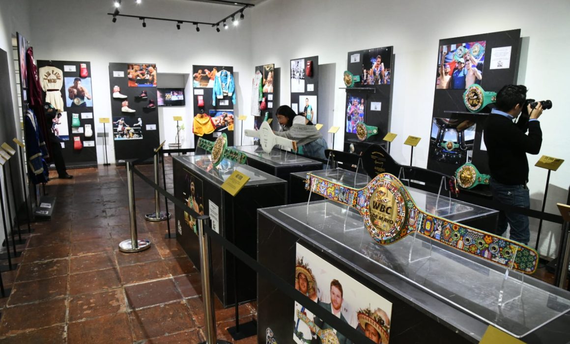 Exposición verde y oro en el Museo de la Memoria genera interés