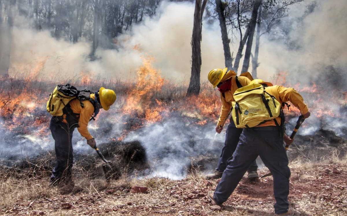 Puebla ocupa quinto lugar nacional en incendios forestales