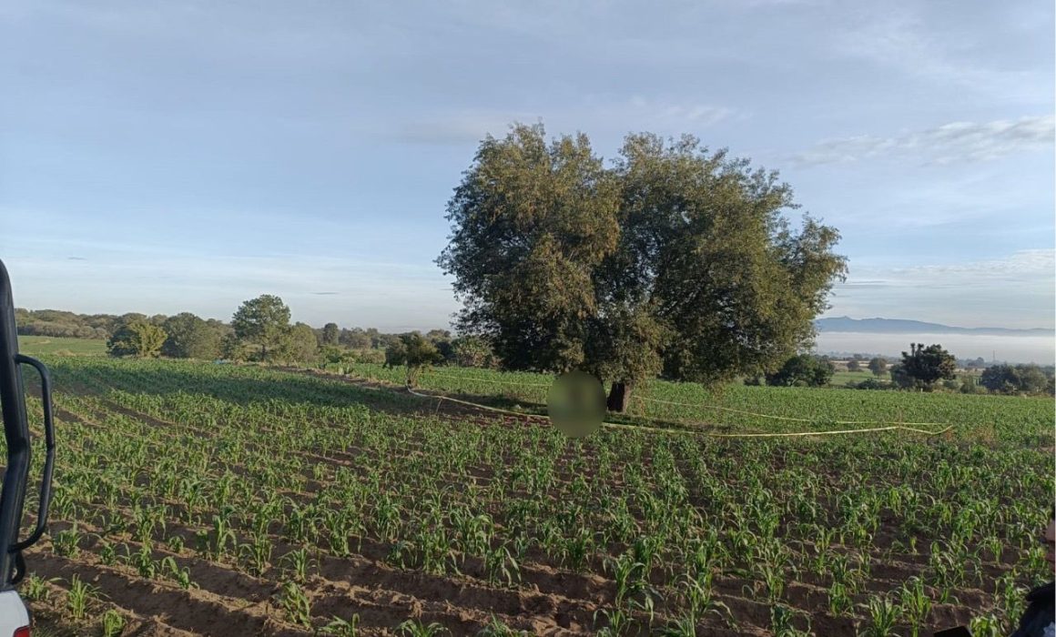 Atienden cuerpo de emergencia de Huamantla reporte de persona sin vida