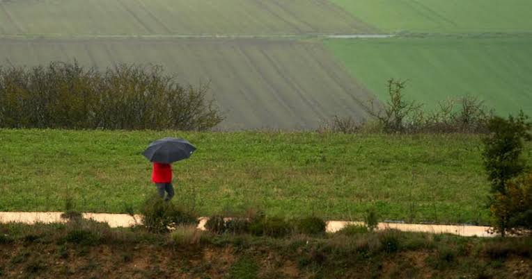 Lluvias no mitigarán daños provocados a cosechas en Tlaxcala, advierten