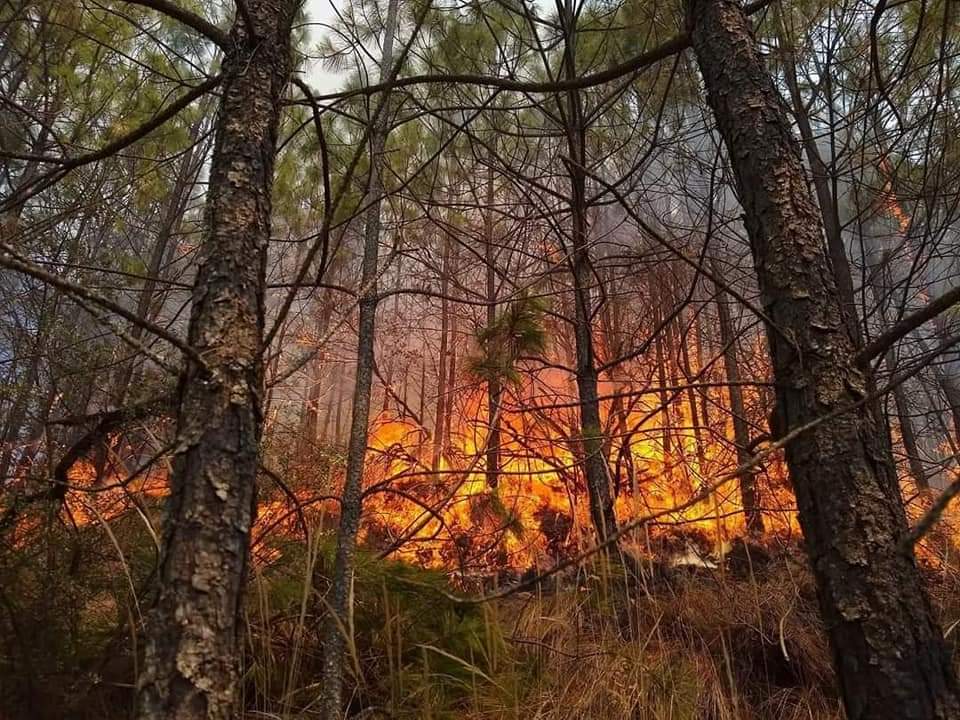 Regresa Tlaxcala al top 5 de entidades con más incendios forestales