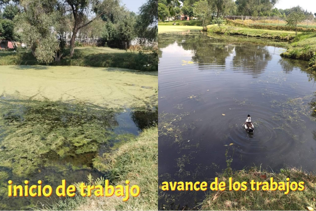 Reclama MxRX abandono del Lago del Niño