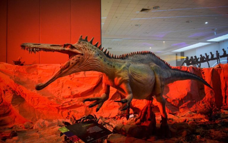 Ya ruge Tierra de Dinosaurios en Tlaxcala; inauguración será este jueves
