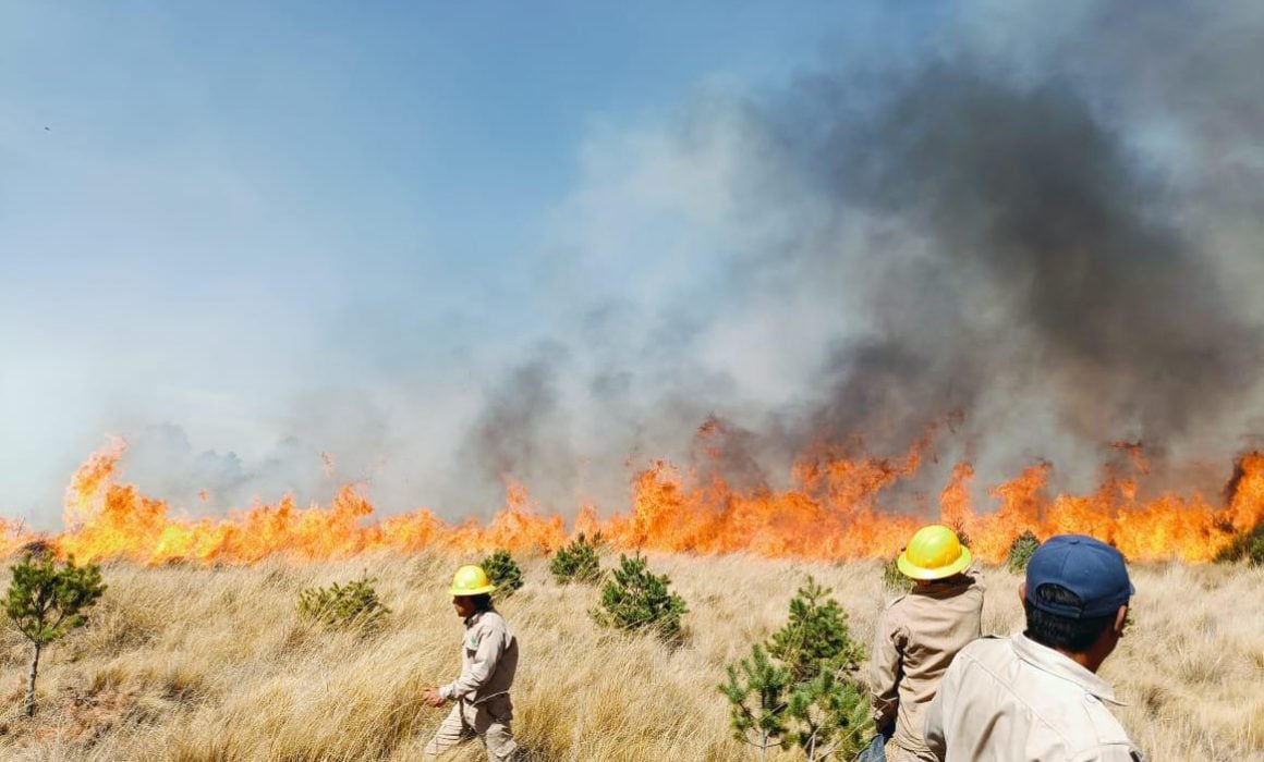 Exhorta en Tlaxcala Comité de manejo del fuego evitar incendios forestales