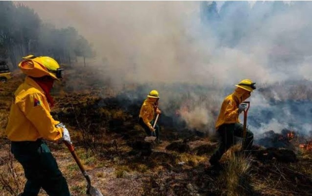 Incendios en Parque Amalucan y La Malinche dejaron al menos 80 hectáreas dañadas
