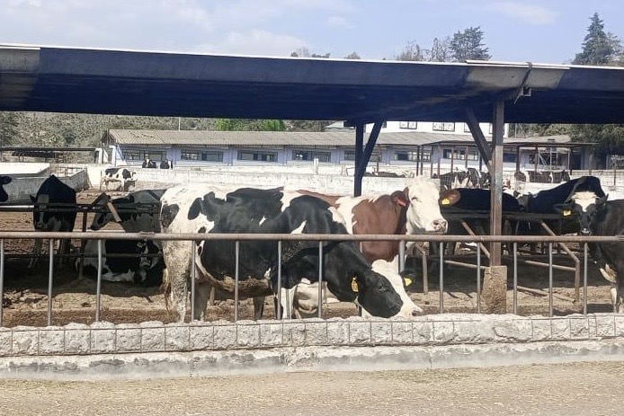 Con operativos de seguridad estratégicos se previene el abigeato en Huamantla