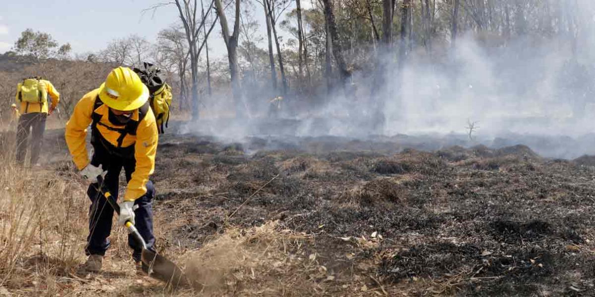 Aumentan incendios en pastizales y predios en Puebla: Protección Civil