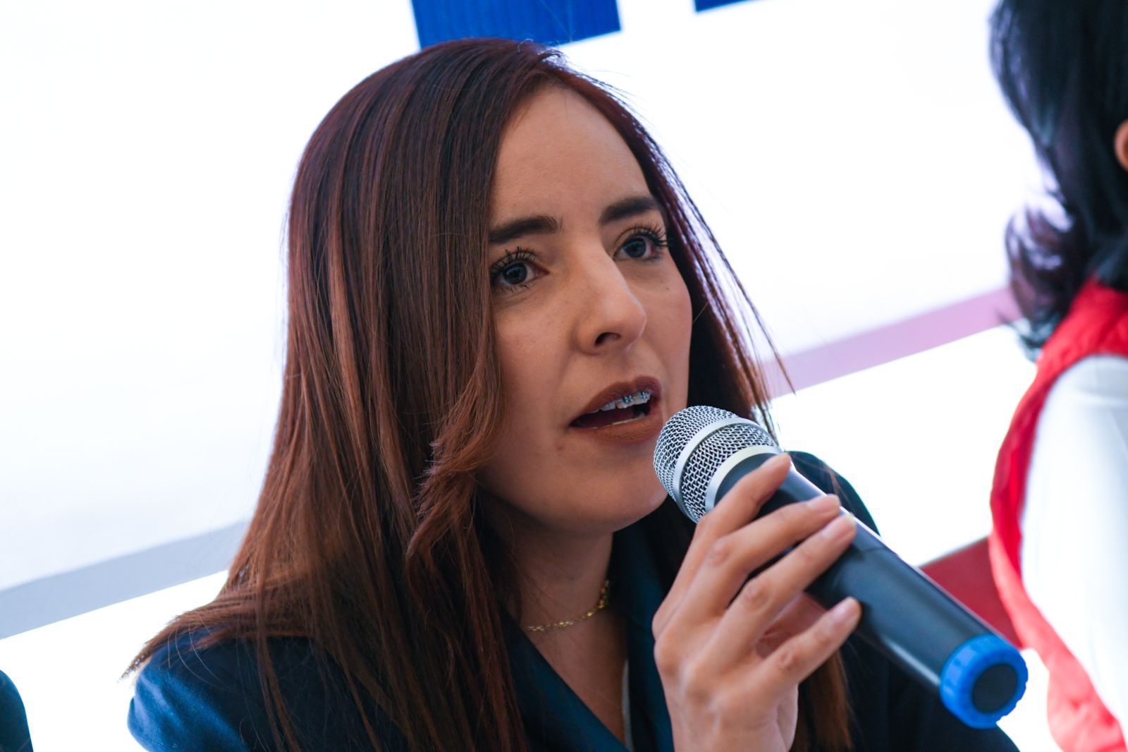 Alerta PAN Tlaxcala de elección de estado: pide al Gobierno sacar las manos