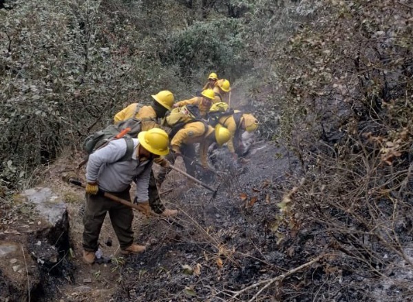 Registra Puebla dos incendios forestales activos en Tetela de Ocampo y Aquixtla