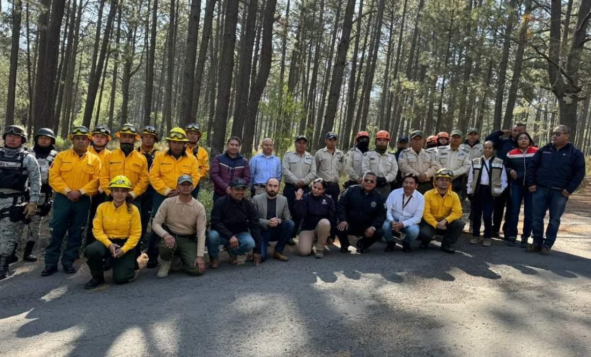 Exhorta SMA a proteger macizos forestales en época invernal