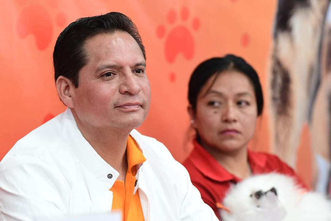 Fundación a Favor de México cuestiona trabajos de av. 20 de noviembre, en la capital