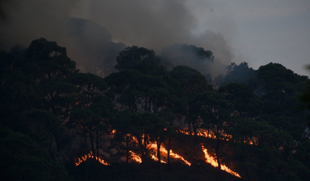 Se registran 205 incendios activos en el país