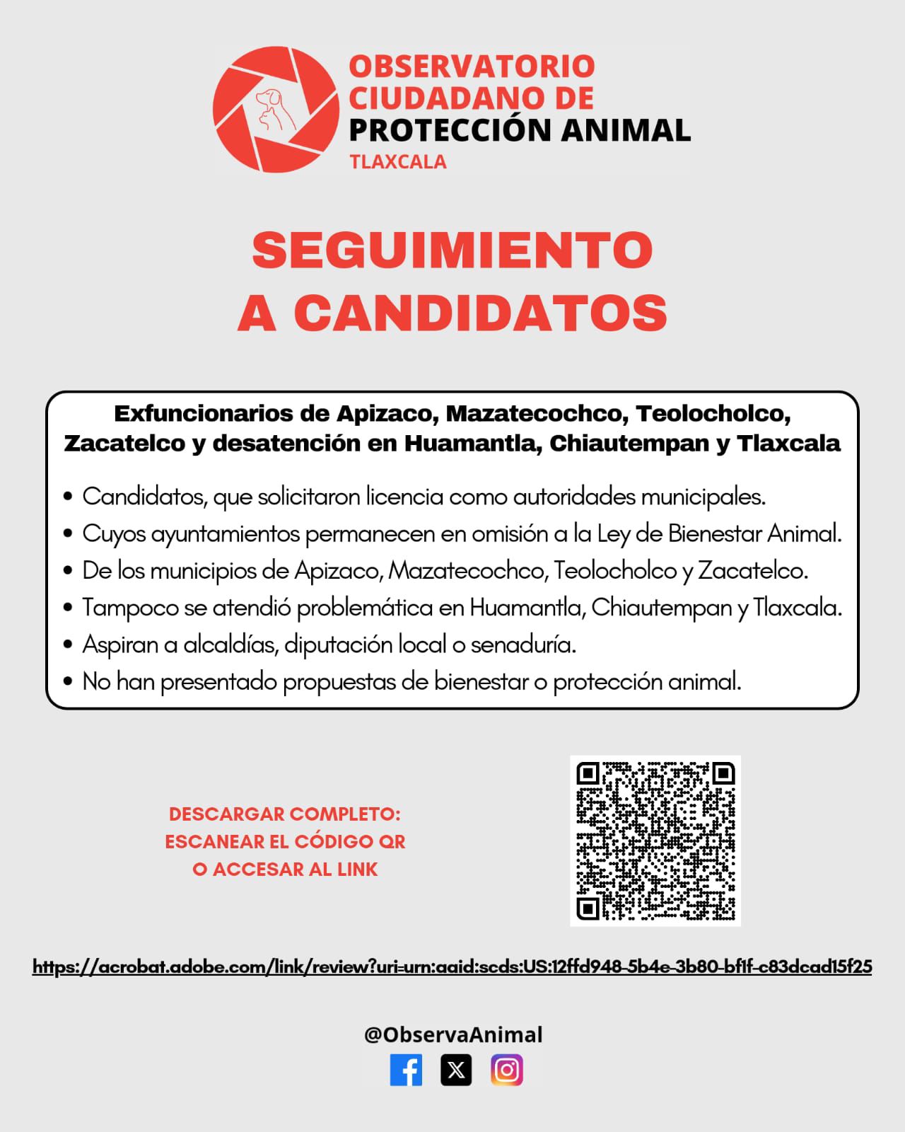 Observatorio Ciudadano denuncia incumplimiento de funcionarios municipales con la Ley de Bienestar Animal