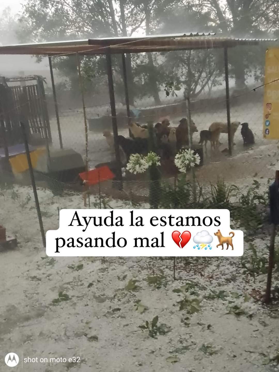 FB IMG 1716511980583