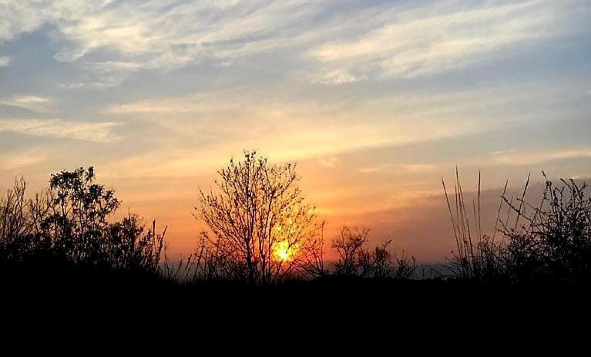 Jueves caluroso de 30 a 35 grados con probabilidad de chubascos