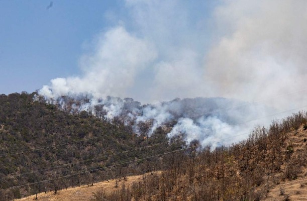 En cinco meses Puebla registra 366 incendios forestales 