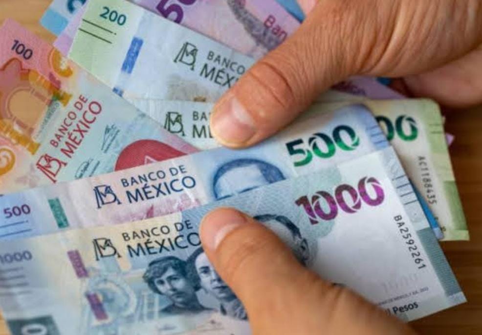  Se repartirán 52 MDP en utilidades a 19 empresas: SDyU