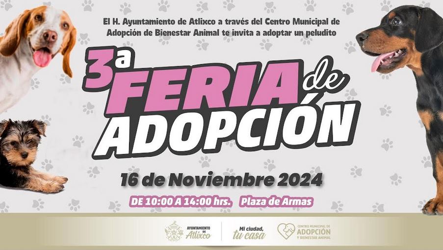 ¡Encuentra a tu nuevo mejor amigo en la Feria de Adopción en Atlixco!