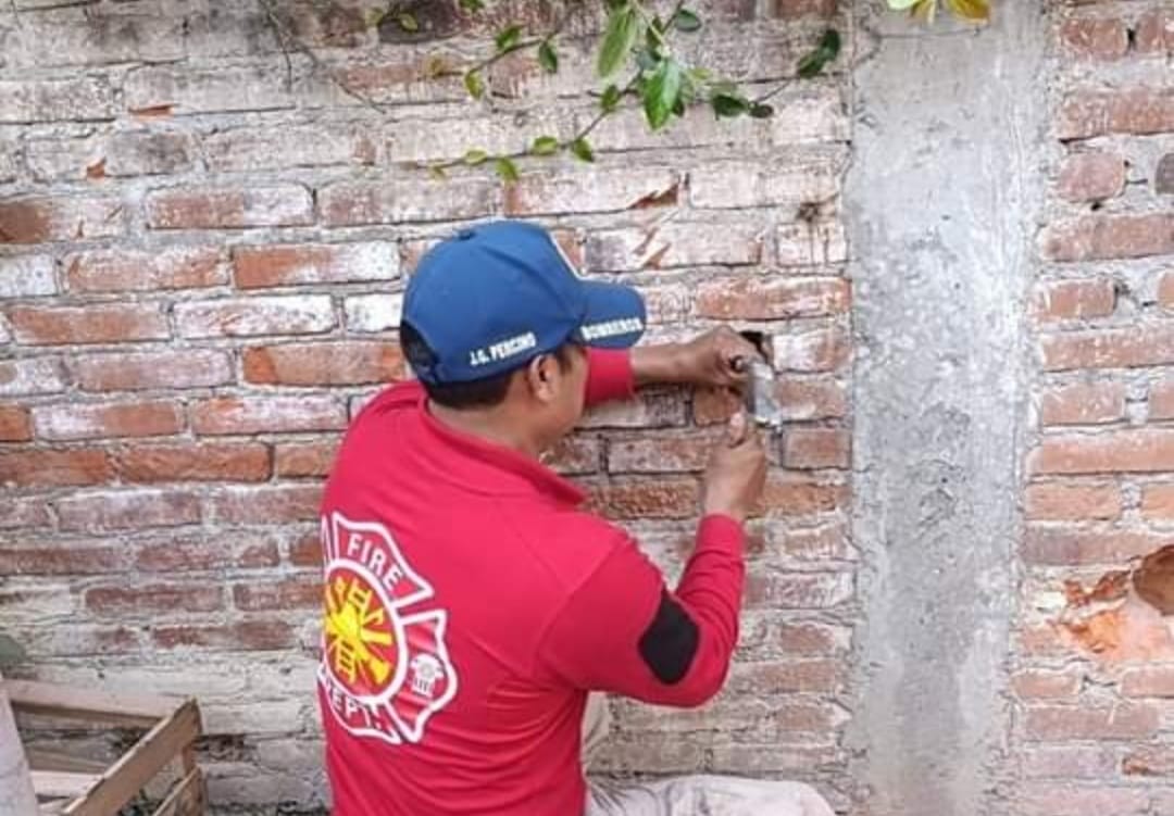 San Pedro Cholula protege a las mascotas