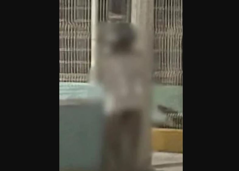 Hombre amarrado a poste en Puebla: encuentra mensajes misteriosos