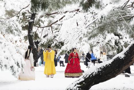 Histórica tormenta de nieve paraliza Seúl: vuelos cancelados y caos vial