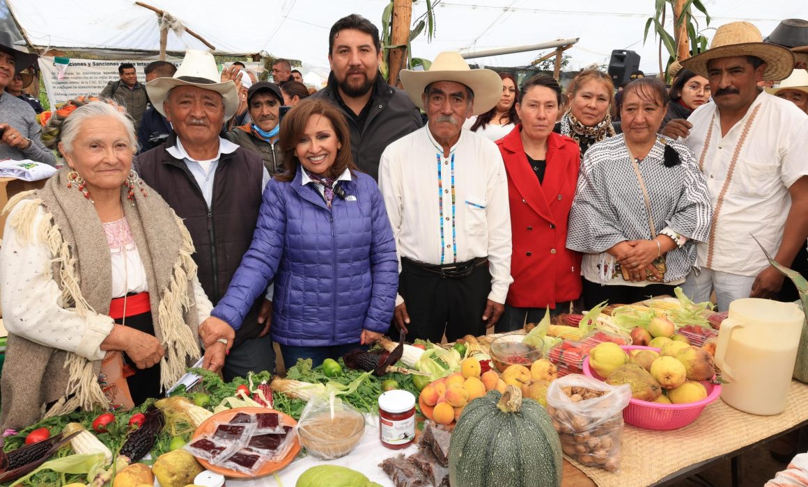 Cuentan con Programas Sociales 8 de cada 10 Tlaxcaltecas