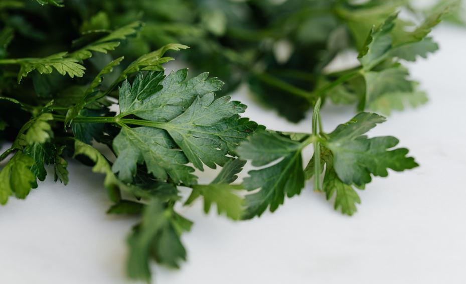 Perejil y salud: descubre cómo esta verdura ayuda a prevenir el cáncer