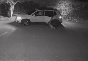 Video revela el abandono de un cadáver en la colonia Recursos Hidráulicos; autoridades investigan