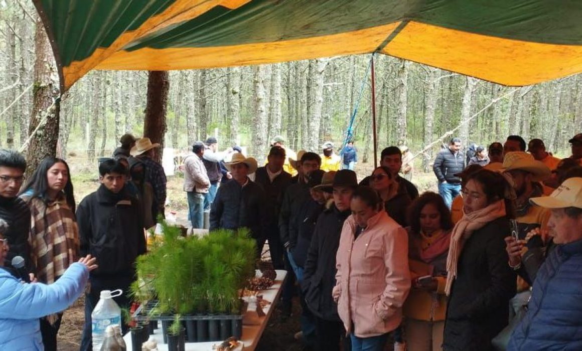 UATx impulsa la conservación de ecosistemas forestales a través de la ciencia