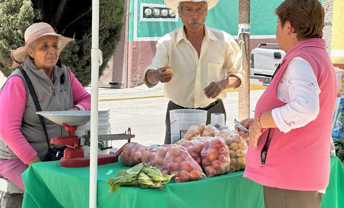 En apoyo a la economía Gobierno Municipal invita al Tianguis Agropecuario