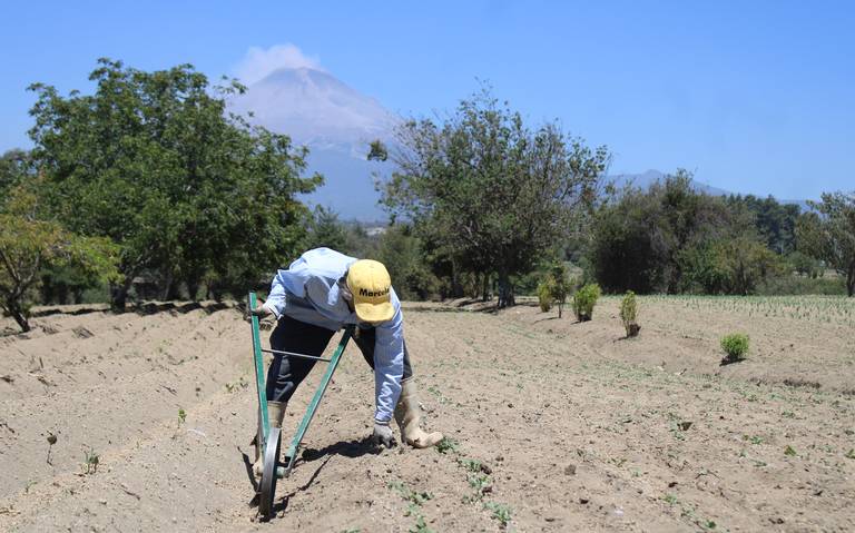 2024 será un año prometedor para el campo tlaxcalteca, asegura la SIA