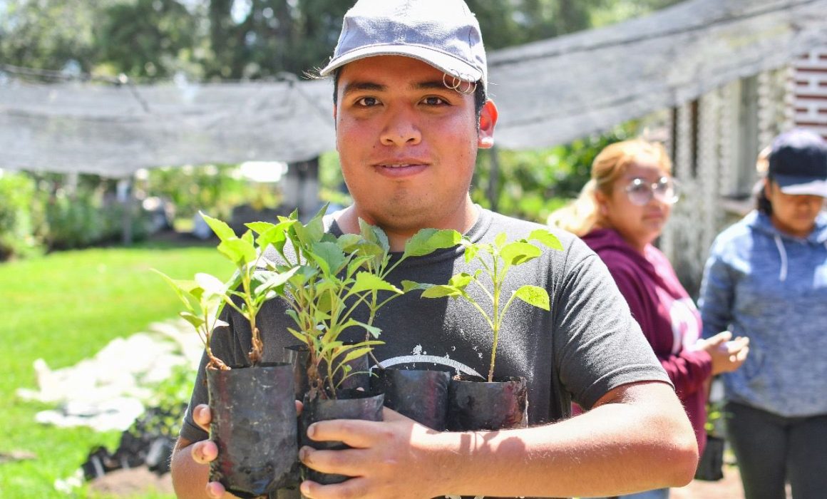 Entrega Huamantla 1,500 plantas de dalias para impulsar agricultura