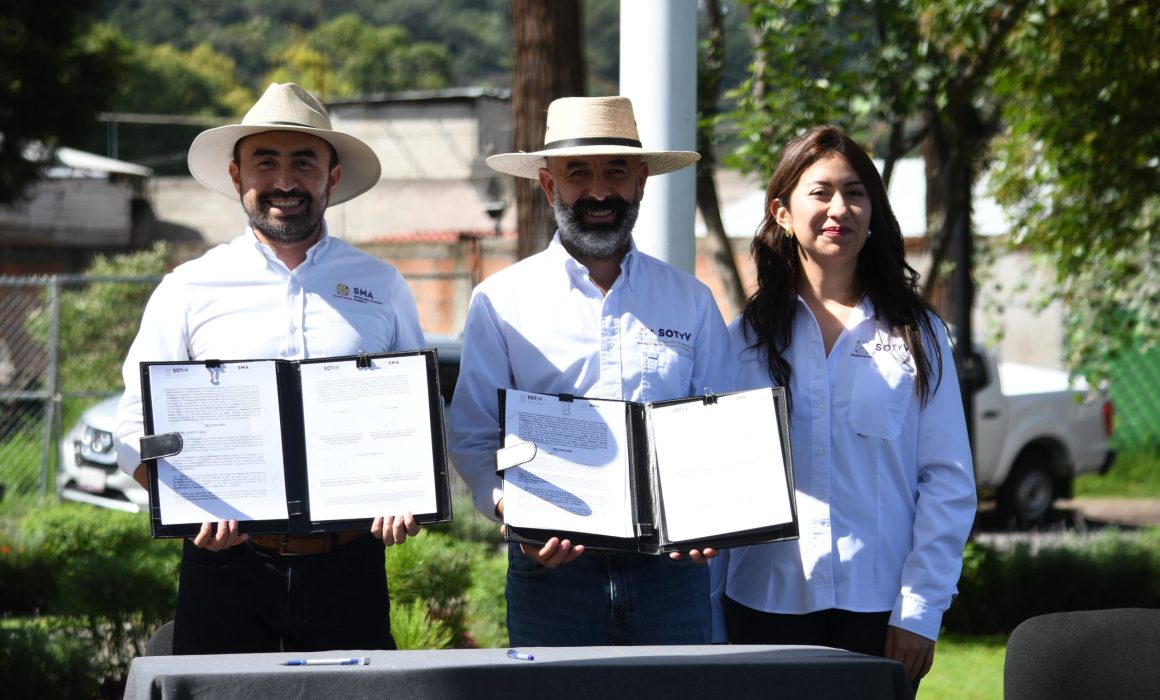 Plantarán árboles frutales de bajo corte en viviendas dignas de la SOTYV