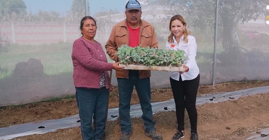 Acciones y logros alcanzados en administración de Paola Angon