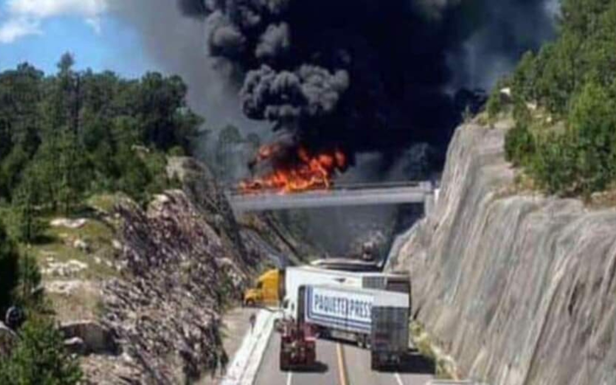Violencia en Sinaloa: 14 fallecidos en enfrentamientos armados en Culiacán y Concordia