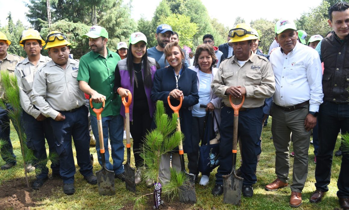 Cierra Mes de la Juventud con reforestación de 20 mil árboles en Tlaxcala