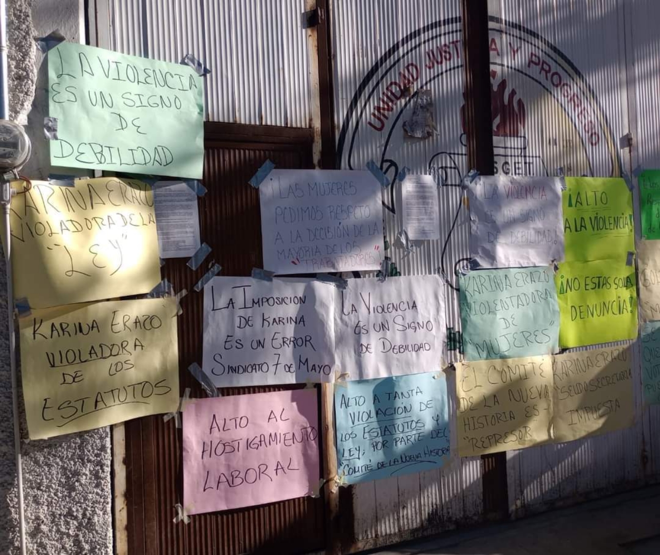 Líderesa del S7M pretende reformar estatutos a modo