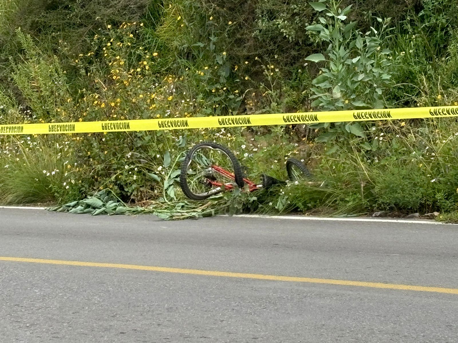 Hombre es brutalmente atropellado y despedazado mientras viajaba en bicicleta