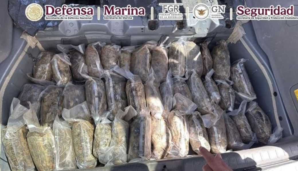 Coordinación federal asegura droga en carreteras de Durango y Coahuila