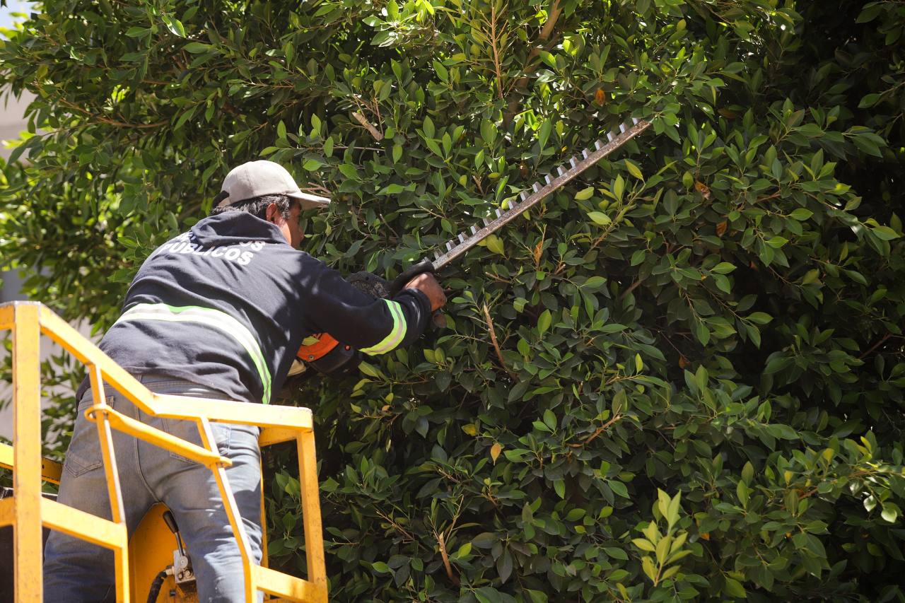 Acciones conjuntas fortalecen espacios públicos en San Andrés Cholula