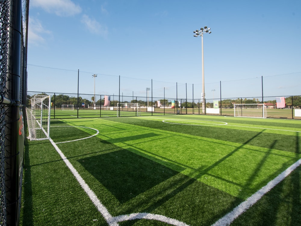 ¿Pueden los parques urbanos salvar la biodiversidad?