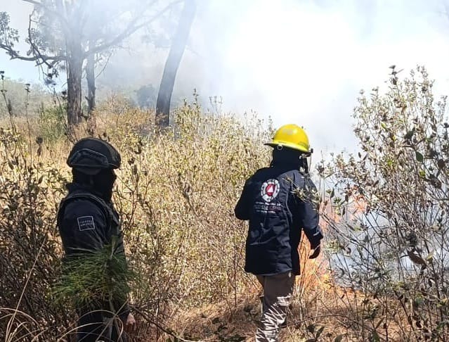 Policía Montada refuerza vigilancia en el Cerro Zapotecas y se suma al combate de incendios