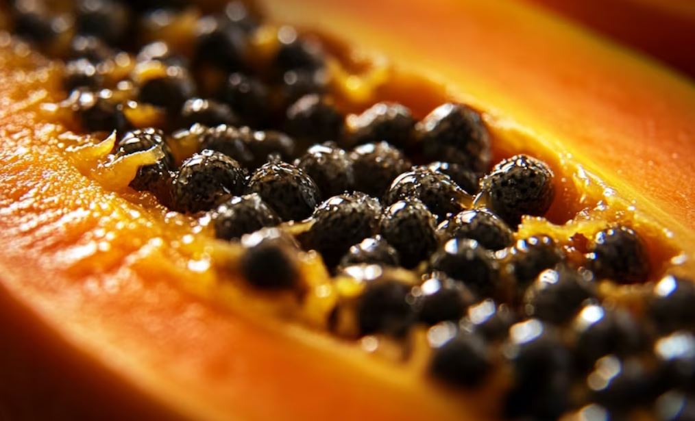 Semillas de papaya: de desecho a ingrediente funcional y nutritivo