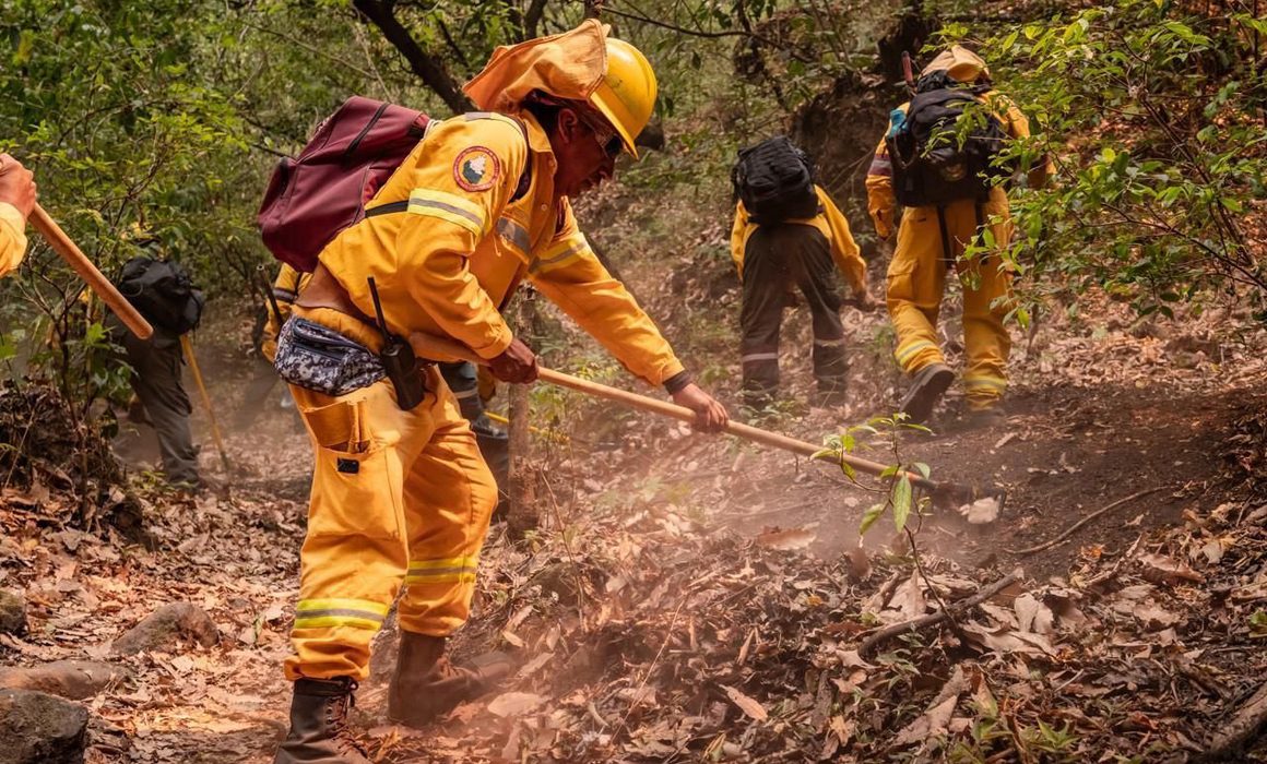 Conafor reporta 129 incendios forestales activos en México