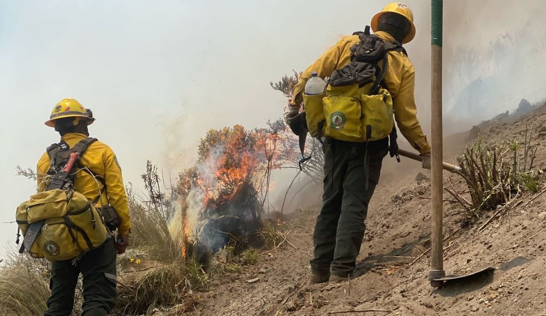 Fuerzas estatales y federales unen esfuerzos contra incendios en Puebla