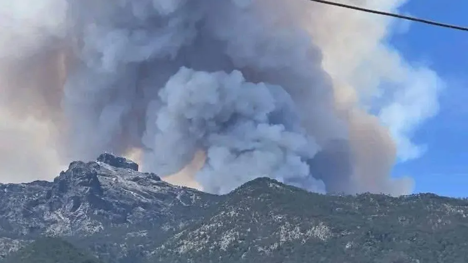 Inicia combate aéreo para sofocar incendio en el Cofre de Perote, Veracruz