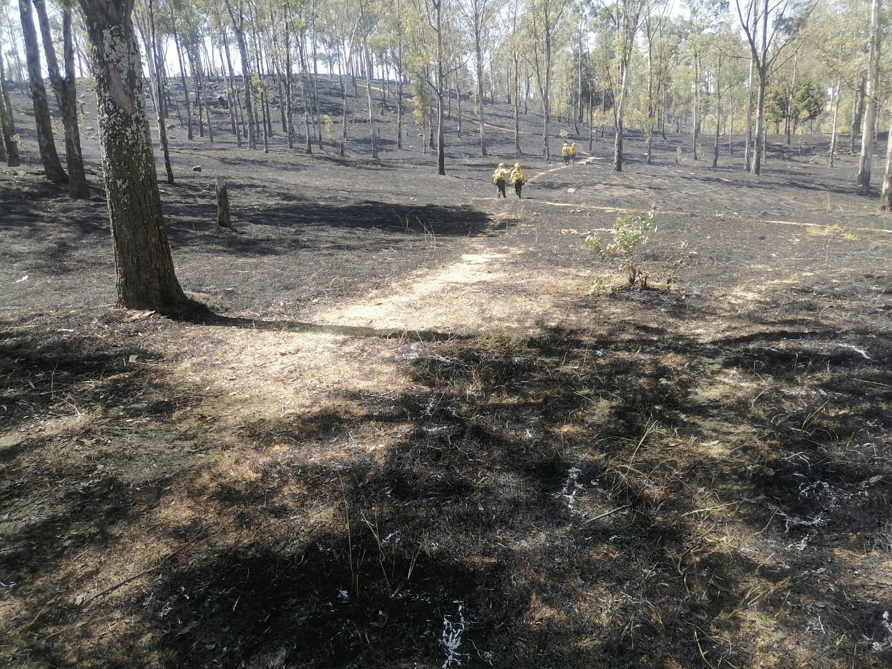 Policía y Bomberos de Cholula sofocan más de 20 incendios en el cerro Zapotecas
